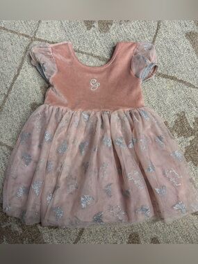 Pink Velvet & Tulle Butterfly Glinda Wicked Movie Costume Dress 2T